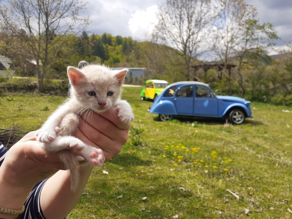 Спачек во позадина