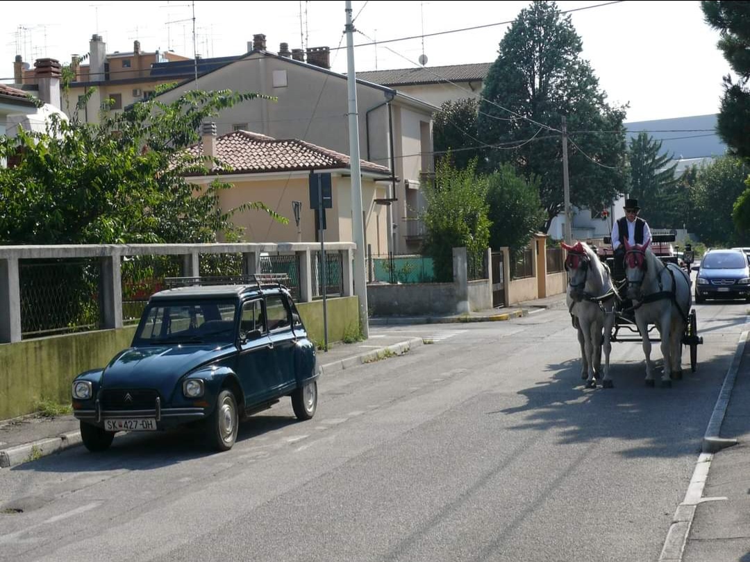 Citroen Dyane and horse