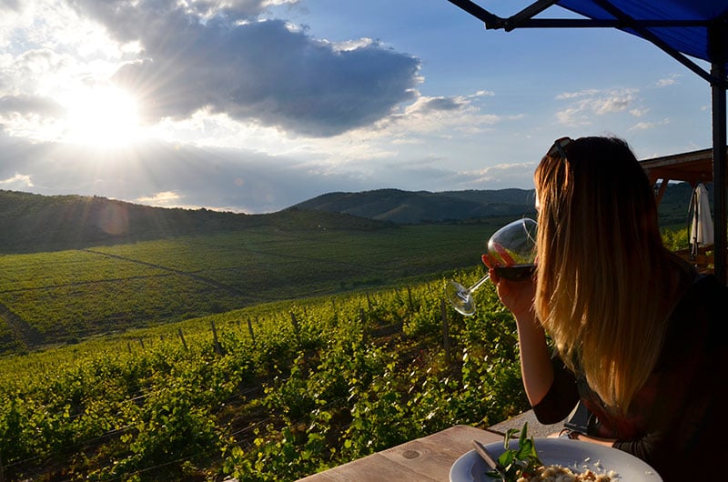 Vineyards-along-River-Vardar